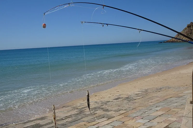 Zeevissen in de Algarve vanaf het strand